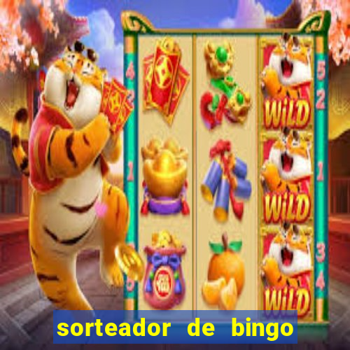 sorteador de bingo 90 bolas online